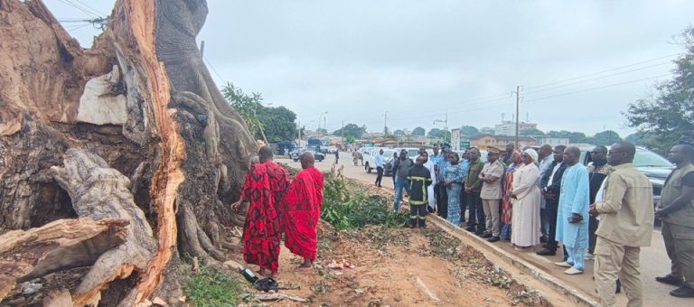 Côte d’Ivoire-AIP/ Effondrement d’un fromager à Bouaké : le maire Amadou Koné sur les lieux du sinistre et au chevet des blessés