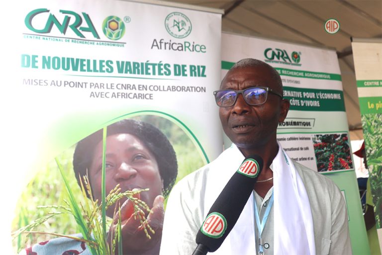 Côte d’Ivoire-AIP/ Le CNRA rassure sur l’opportunité d’investissement que constitue le riz dans le bafing