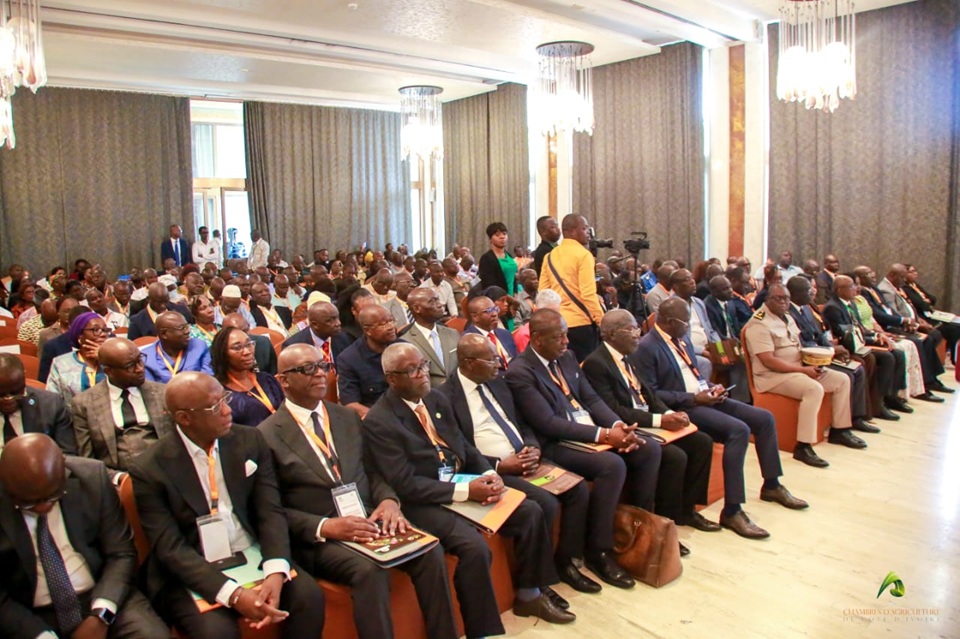 Côte d'Ivoire-AIP/ La future Chambre nationale d’Agriculture veut devenir un levier de transformation du secteur agricole