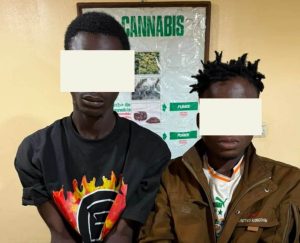 Côte d'Ivoire-AIP/ Deux présumés trafiquants de drogue interpellés et d'importantes quantités de stupéfiants saisies à Brobo (Police)