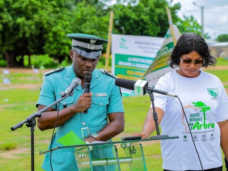 Côte d’Ivoire-AIP/ Destruction du karité : les Eaux et Forêts appellent à la protection de cette précieuse essence dans le Bounkani