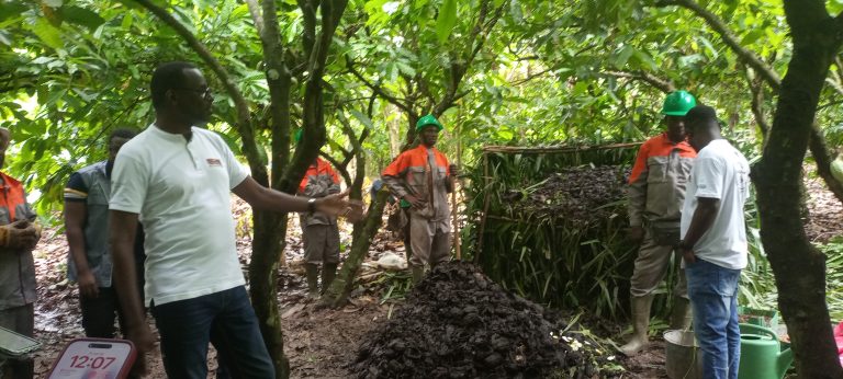 Côte d’Ivoire-AIP/ Le Nestlé Cocoa Plan mise sur les familles pour construire une cacaoculture plus durable à Bringakro