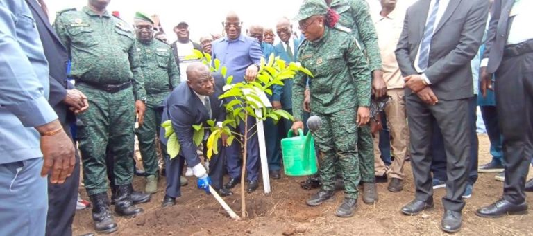 Côte d’Ivoire-AIP/ Bouaké accueille la Journée nationale de l’arbre 2026
