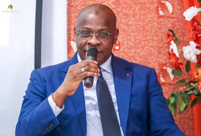 Côte d’Ivoire-AIP/ Le monde agricole attendu à Yamoussoukro pour la réorganisation de la Chambre nationale d’agriculture