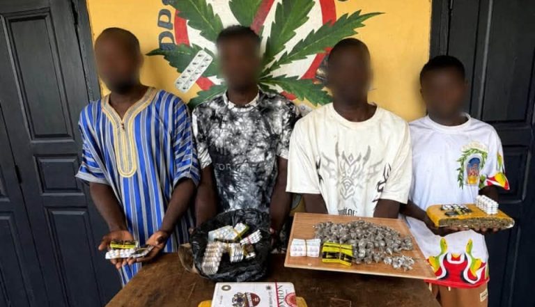 Côte d’Ivoire-AIP/ Quatre présumés trafiquants de drogue interpellés, du cannabis et du Tramadol saisis à Korhogo