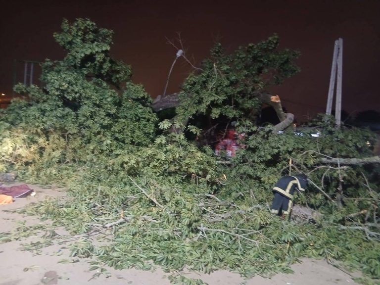 Côte d’Ivoire-AIP/ Trois morts et trois blessés graves dans la chute d’un fromager au quartier Nimbo de Bouaké (GSPM)