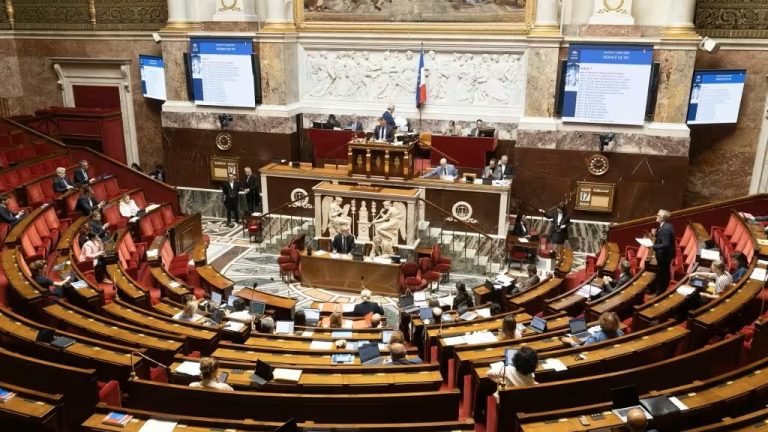 Côte d’Ivoire-AIP/Inter/ L’Assemblée nationale française adopte le projet de loi d’urgence agricole malgré la controverse sur les pesticides