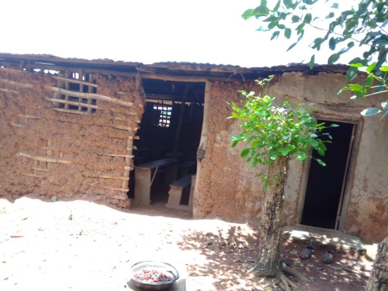 Côte d’Ivoire-AIP/Ambeukoi : depuis 33 ans, une école de fortune maintient vivant le droit à l’éducation des enfants (Reportage)