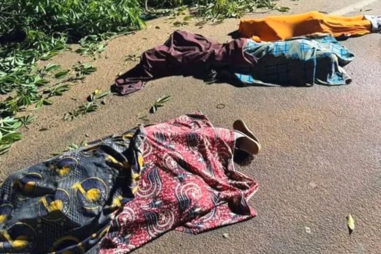 Côte d’Ivoire-AIP/ L’effondrement d’un fromager centenaire fait trois morts et trois blessés à Bouaké