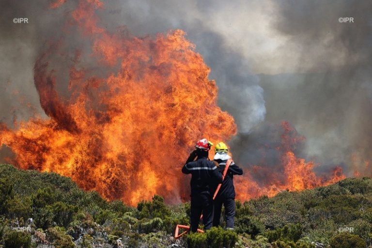AIP/Inter/ Incendies: plus de 325 000 personnes évacuées en France et en Espagne