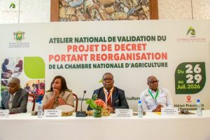 Côte d'Ivoire-AIP/ Plus de 200 acteurs réunis à Yamoussoukro pour valider le projet de réorganisation de la Chambre nationale d’agriculture