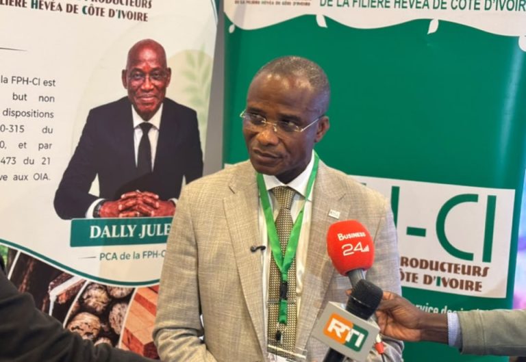 Côte d’Ivoire-AIP/ Plus de 8,9 milliards FCFA mobilisés pour la commercialisation des graines d’hévéa de 2023 à 2025 (FPH-CI)