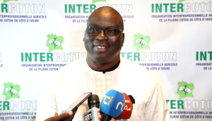 Côte d’Ivoire-AIP/ Le nouveau président de l’Intercoton veut porter la production cotonnière à 600 000 tonnes d’ici 2030