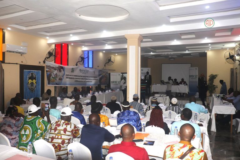 AIP/Commerce transfrontalier: le Bureau national CEDEAO-Côte d’Ivoire à l’écoute des acteurs de Danané pour lever les entraves aux échanges