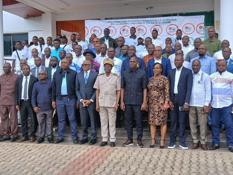 Côte d’Ivoire-AIP/ Mille jeunes applicateurs formés pour renforcer la protection des vergers d’anacardier