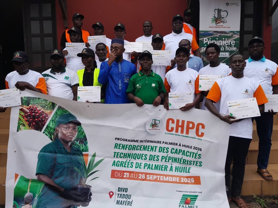 Côte d’Ivoire-AIP/Tabou : les pépiniéristes agréés s’engagent à améliorer la qualité des plants de palmier à huile
