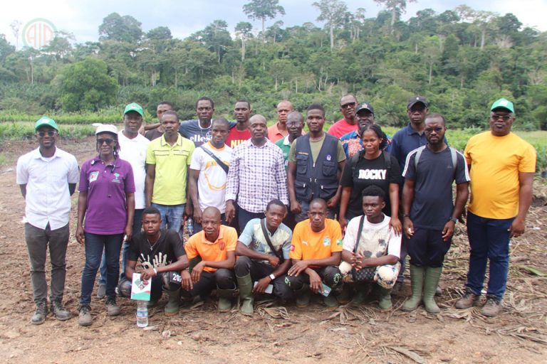 Côte d’Ivoire-AIP/ Filière Palmier à huile: des pépiniéristes en formation à Divo pour renforcer leurs capacités techniques