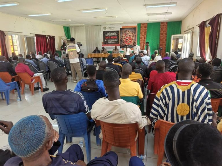 Côte d’Ivoire-AIP/ L’ANDE lance l’enquête publique sur le projet de bitumage de l’axe Séguéla-Dioulatiédougou