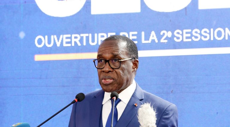 Côte d’Ivoire-AIP/ 2e session ordinaire 2026: le CESEC salue la détermination de l’État à lutter contre le phénomène de l’orpaillage illégal