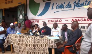 Côte d’Ivoire-AIP/ Café-cacao : des producteurs et coopératives du Haut-Sassandra se désolidarisent de l’appel à la grève du SYNAP-CI