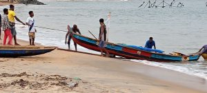 Côte d’Ivoire-AIP/ A Sassandra, le poisson débarque en abondance mais reste cher sur le marché local (Reportage)