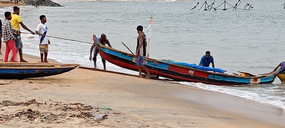Côte d’Ivoire-AIP/ A Sassandra, le poisson débarque en abondance mais reste cher sur le marché local (Reportage)