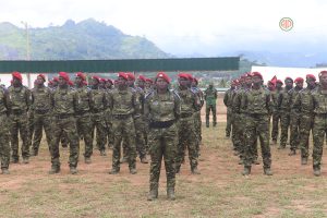 Côte d'Ivoire-AIP/Man : le Bataillon d'infanterie de montagne reçoit pour mission de maîtriser les forêts et montagnes de sa zone de responsabilité