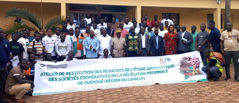 Côte d’Ivoire-AIP/ Le Conseil du café-cacao diagnostique et catégorise 339 sociétés coopératives du Guémon et du Cavally