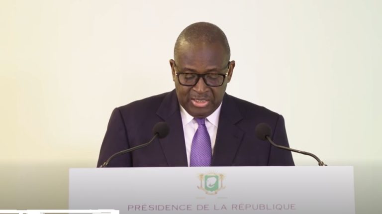 Côte d’Ivoire-AIP/ Epervier Spécial : Le CNS se félicite du bon déroulement de l’opération