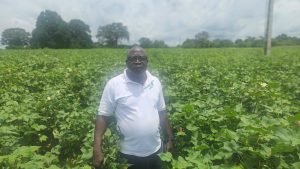 Côte d’Ivoire-AIP/ Filière coton : Silué Fatogoma veut fédérer les producteurs autour du défi des 600 000 T en 2030 (Interview)