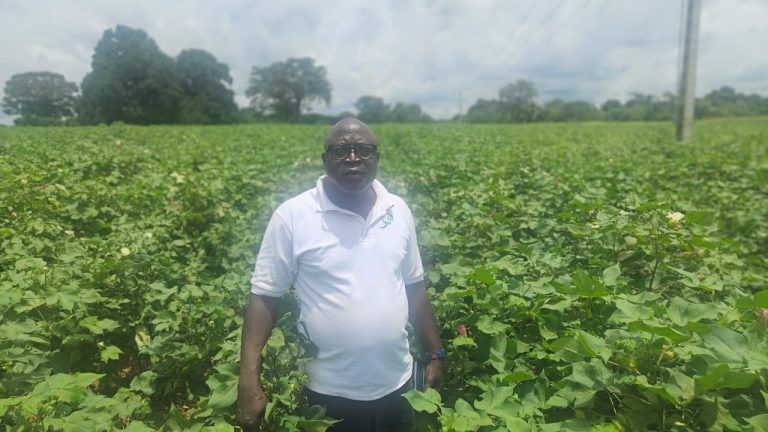 Côte d’Ivoire-AIP/ Filière coton : Silué Fatogoma veut fédérer les producteurs autour du défi des 600 000 T en 2030 (Interview)