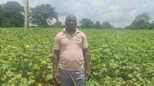 Côte d’Ivoire-AIP /L’intervention de la COIC permet de maintenir la campagne cotonnière dans la ZEA 4 de Sinématiali