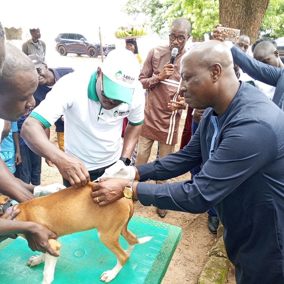 Côte d’Ivoire-AIP/Une campagne gratuite de vaccination des chiens lancée pour prévenir la rage à Sinématiali