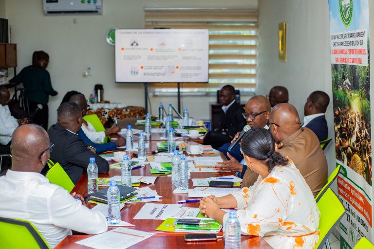 Côte d’Ivoire-AIP/Orpaillage illégal : l’UNEMAF annonce une campagne de sensibilisation des communautés du Bas-Sassandra