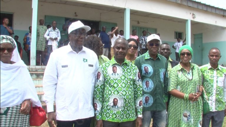 Côte d’Ivoire-AIP/ Le PDCI-RDA mobilise ses militants avant les 80 ans du parti à Korhogo
