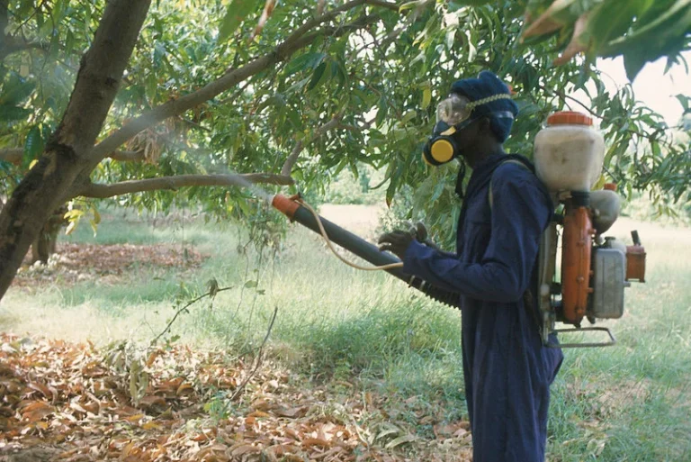 AIP/ Le Club Café-cacao de Côte d’Ivoire annonce le lancement de la première enquête africaine sur le cacao de bioréacteur