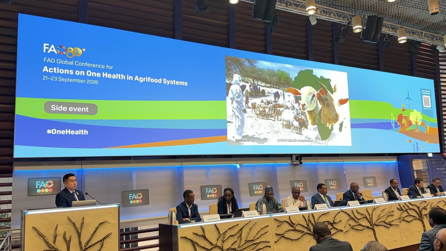 Côte d’Ivoire-AIP/ l’Afrique plaide à Rome en faveur des financements durables pour l’éradication de la peste des petits ruminants