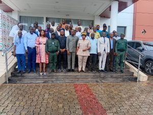 Côte d’Ivoire-AIP/ L’agroforesterie présentée comme une solution pour une production durable de l’anacarde