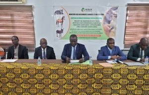 Côte d’Ivoire-AIP/ Le MIRAH déploie un outil numérique pour renforcer la surveillance des maladies animales