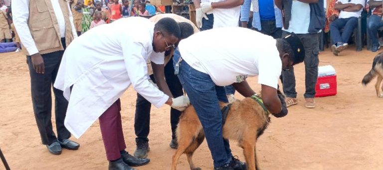 Côte d’Ivoire-AIP/ Les populations de Brobo sensibilisés à la prévention de la rage